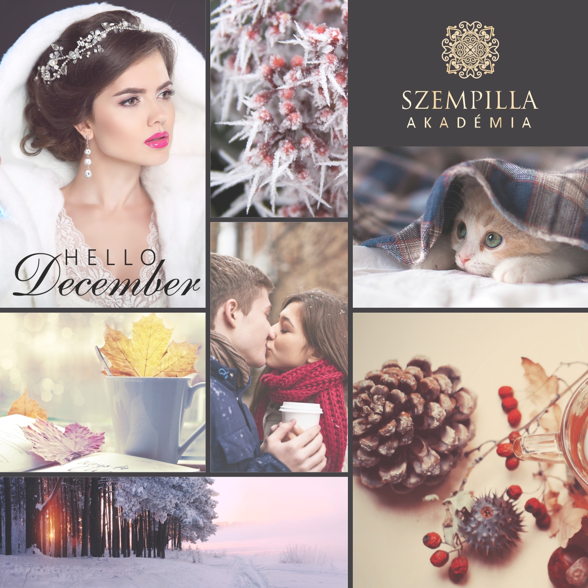 Blog header image